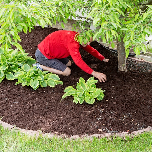 mulch installation mulch installation experts can help you determine the best type of mulch for your unique garden needs